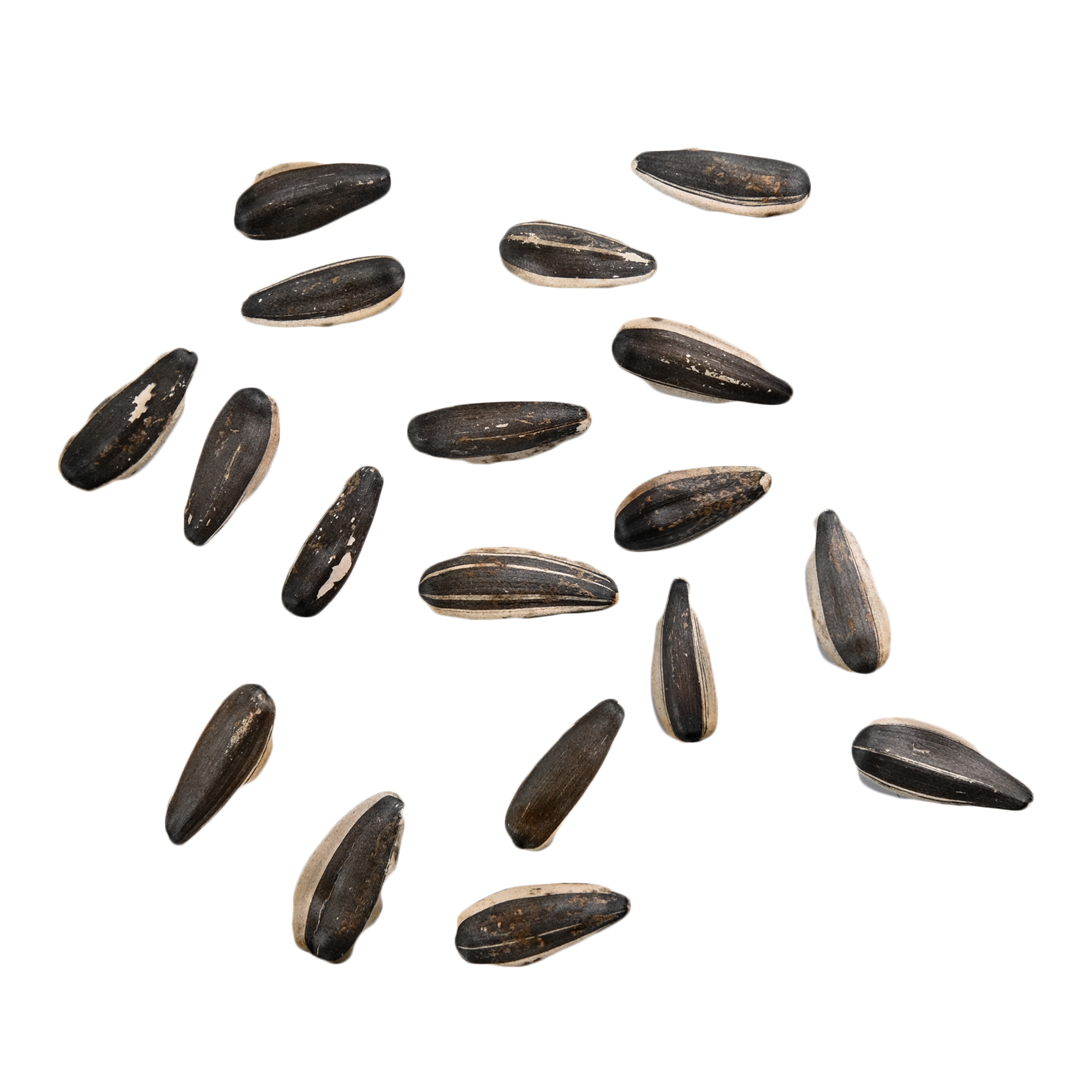 —Pngtree—sunflower seeds sunflower snack fruit_6403924